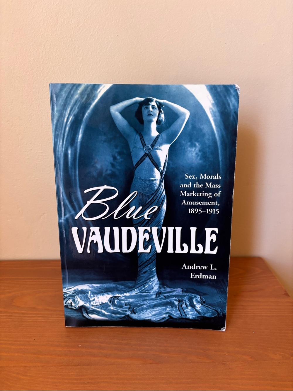 Blue Vaudeville by Andrew L. Erdman - Blue Cover